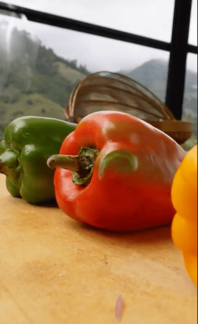 How to Make How to Cut Bellpeppers - La Fe Foods