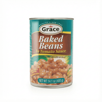 GR. BAKED BEANS 24x400g - La Fe Foods
