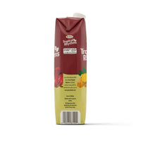 T/RHYTHMS SORREL GINGER TETRA 12x1L packaging showcasing tropical flavors, a delicious and nutritious Latin food option.